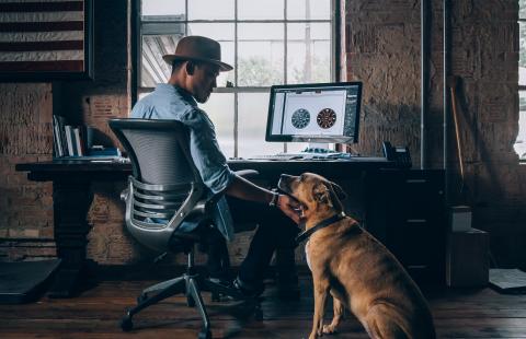 man sitting in front of computer with his dog